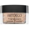 Artdeco permatoma biri pudra, 8 g
