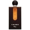 Benetton Tribu EDP parfumuotas vanduo vyrams, 100 ml