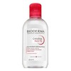Bioderma Créaline TS H2O Solution Micellaire Valiklis 250 ml