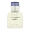 Kvepalai vyrams Dolce&amp;Gabbana Light Blue Pour Homme EDT, 40 ml