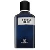 Grandeur Tribal Mėlyna EDP parfumuotas vanduo vyrams, 100 ml