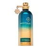 Montale Paris Montale Mėlyna Matcha EDP parfumuotas vanduo Unisex, 100 ml