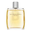 Burberry For Men EDT tualetinis vanduo vyrams, 100 ml
