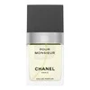 Chanel Pour Monsieur Concentrée EDT tualetinis vanduo vyrams, 75 ml