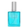 Clean Classic Shower Fresh EDP parfumuotas vanduo moterims, 60 ml