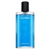 Davidoff Cool Vanduo Oceanic Edition EDT tualetinis vanduo vyrams, 125 ml