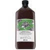 Davines Natural Tech Renewing Šampūnas atnaujinantis šampūnas, 1000 ml