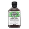 Davines Natural Tech Renewing Šampūnas, 250 ml