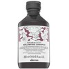 Davines Natural Tech Replumping Šampūnas, 250 ml