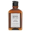 Depot 100 plaukų valymo priemonė Nr. 101 su botaniniu kompleksu. Normalizuojanti plaukų šampūnas, 250 ml.