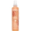 Echosline Argan Total One Multi-Action Purškiklis Mask nenuplaunama daugiafunkcė purškiama kaukė plaukams, 200 ml