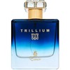 Emir Trillium EDP parfumuotas vanduo vyrams, 100 ml