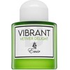 Unisex kvepalai  Paris Corner Vibrant Vetiver Delight EDP, 100 ml