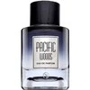 Grandeur Pacific Woods EDP parfumuotas vanduo vyrams, 100 ml