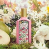 Kvepalai moterims Gucci Flora Gorgeous Gardenia EDP, 50 ml