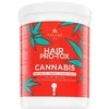 Plaukų kaukė su kanapių sėklų aliejumi Kallos Hair Pro-Tox Cannabis Hair Mask 1000 ml