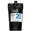 L'Oréal Professionnel Blond Studio Nutri Developer 6% 20 Vol., 1000 ml