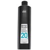 "L'oreal Professionnel Blond Studio" oksidacinė emulsija 20 tūrio 1000 ml