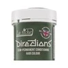 La Riché Directions Semi-Permanent Conditioning Hair Colour Fluorescent Žalias, 88 ml