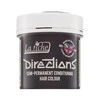 Plum La Riché Directions pusiau ilgalaikis plaukų dažų kondicionierius „Slyvų spalva“, 88 ml
