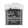 La Riché Directions pusiau ilgalaikis plaukų dažų kondicionierius „Stormy Pilkas“, 88 ml