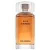 Karl Lagerfeld Bois D'Ambre EDT tualetinis vanduo vyrams, 100 ml