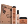 Lakmé Teknia Hair Care Argan Oil Pack, 300 ml +, 250 ml +, 125 ml