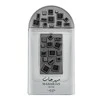 Armaf Lattafa Pride Maharjan Sidabrinis EDP parfumuotas vanduo vyrams, 100 ml