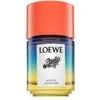 Loewe Paula's Ibiza Eclectic EDT tualetinis vanduo unisex, 100 ml