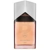 Mercedes-Benz Land EDP parfumuotas vanduo vyrams, 100 ml