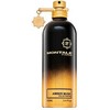 Montale Paris Montale Amber Musk EDP parfumuotas vanduo Unisex, 100 ml
