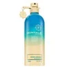 Montale Paris Aoud Lagoon UNISEX (Kvepalai Vyrams ir Moterims) EDP - 100ml