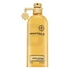 Kvapusis vanduo  Montale Paris Aoud Leather UNISEX (Kvepalai Vyrams ir Moterims) EDP 100ml