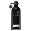 Montale Paris Aoud Lime UNISEX (Kvepalai Vyrams ir Moterims) EDP 100ml