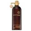 Kvapusis vanduo Montale Paris Aoud Musk EDP 100 ml