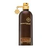 Unisex kvepalai Montale Paris Boisé Fruité EDP, 100ml