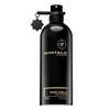 Montale Paris Montale Boise Vanille EDP 100 ml