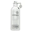 Montale Paris Montale Chocolate Greedy EDP 100ml