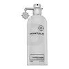 Kvapusis vanduo Montale Paris Fougeres Marine EDP 100 ml