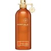 Montale Paris Montale Honey Aoud EDP parfumuotas vanduo unisex, 100 ml
