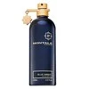 Montale Paris Mėlynas gintaro kvepalų purškiklis 100 ml