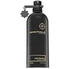 Montale Paris Montale Oud Edition EDP parfumuotas vanduo unisex, 100 ml