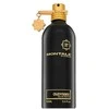 Montale Paris Montale Oudyssée EDP, 100 ml