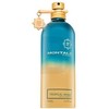 Montale Paris Tropical Wood parfuminio vandens purškiklis 100ml