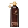 Unisex kvepalai Montale Paris Wild Aoud EDP, 100 ml
