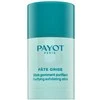 Payot Pâte Grise Stick Gommant Purifiant veido šveitiklis probleminei odai 25g