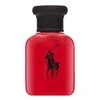 Ralph Lauren Polo Raudona EDT tualetinis vanduo vyrams, 40 ml