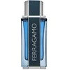 Salvatore Ferragamo Ferragamo Intense Leather 100ml kvepalai Vyrams EDP
