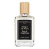 Thomas Kosmala Song In The Wind EDP parfumuotas vanduo unisex, 100 ml
