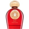 Tiziana Terenzi Borelli PP kvepalai unisex, 100 ml